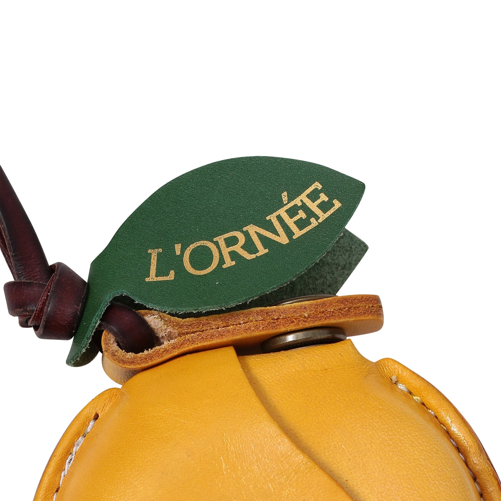 l'orneé airpods case